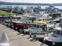 Tugs docked at Essex Island Marina